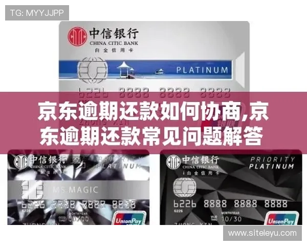 乐鱼在线官方客服联系方式及常见问题解答帮助玩家解决使用中的疑难